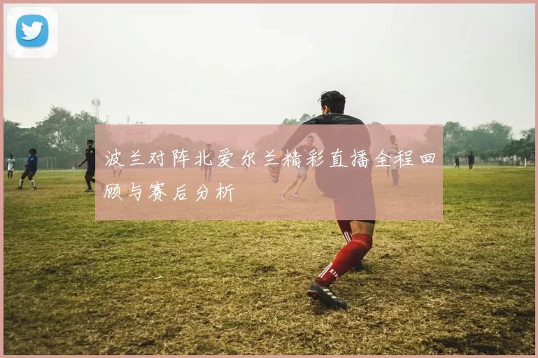 波兰对阵北爱尔兰精彩直播全程回顾与赛后分析