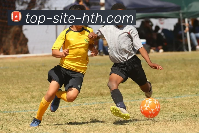 华体会APP 高清赛事图